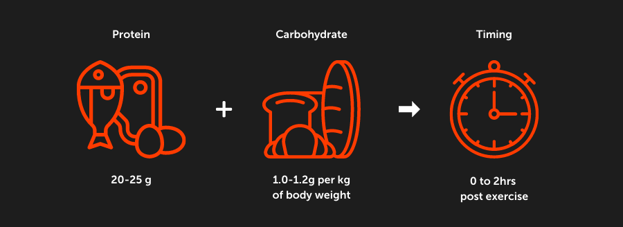 protein and carbs infographic