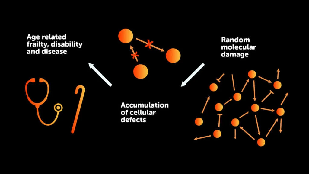 cell damage infographic