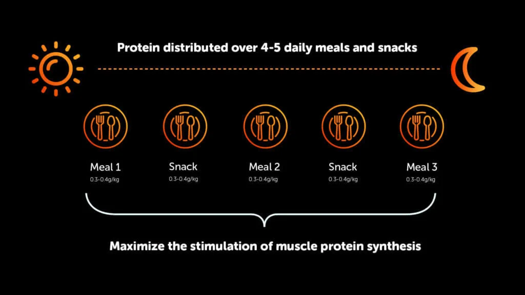 protein intake infographic